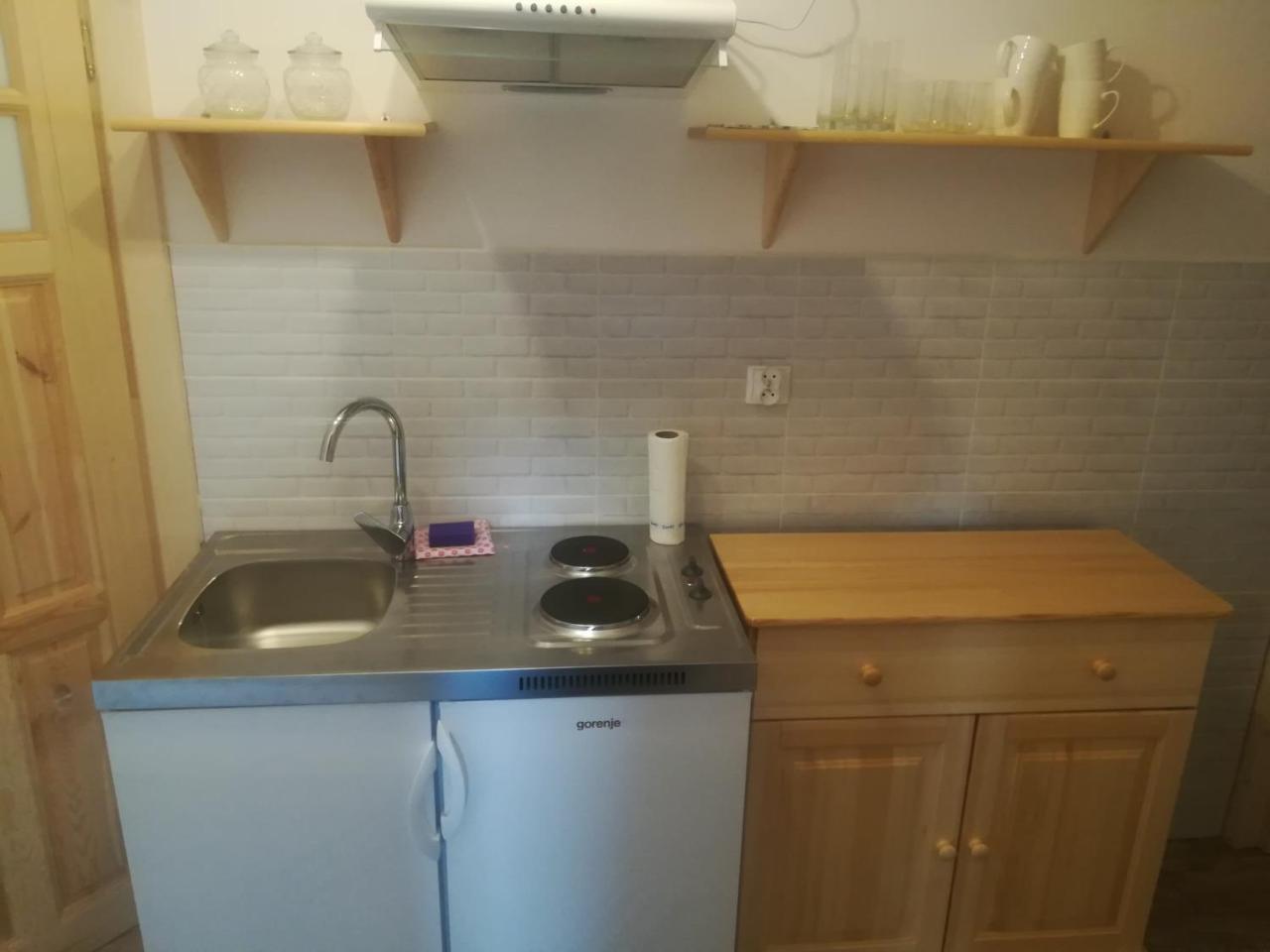 זקופאנה Apartament Stary Mlyn מראה חיצוני תמונה