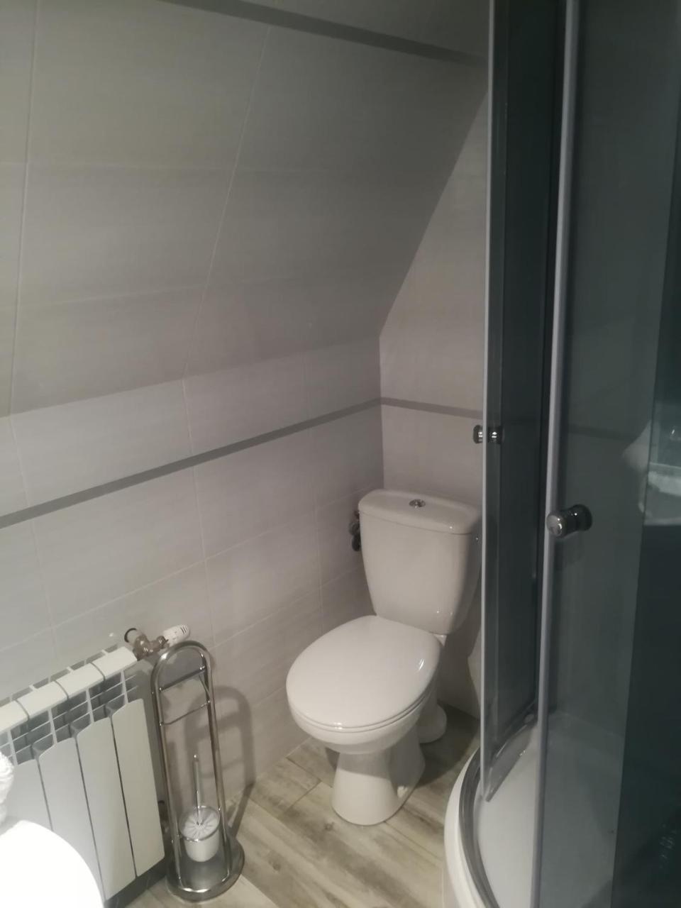 זקופאנה Apartament Stary Mlyn מראה חיצוני תמונה
