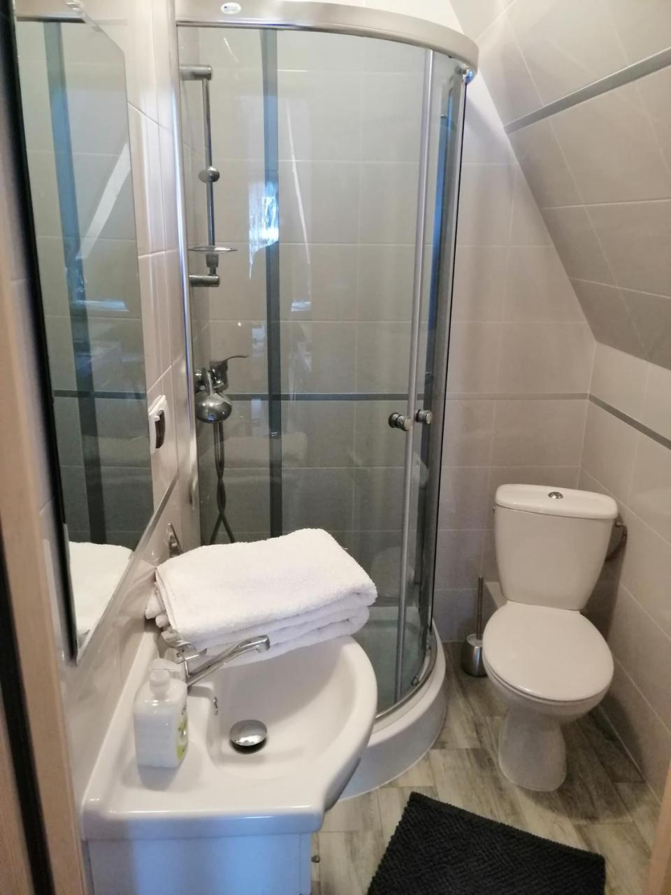 זקופאנה Apartament Stary Mlyn מראה חיצוני תמונה