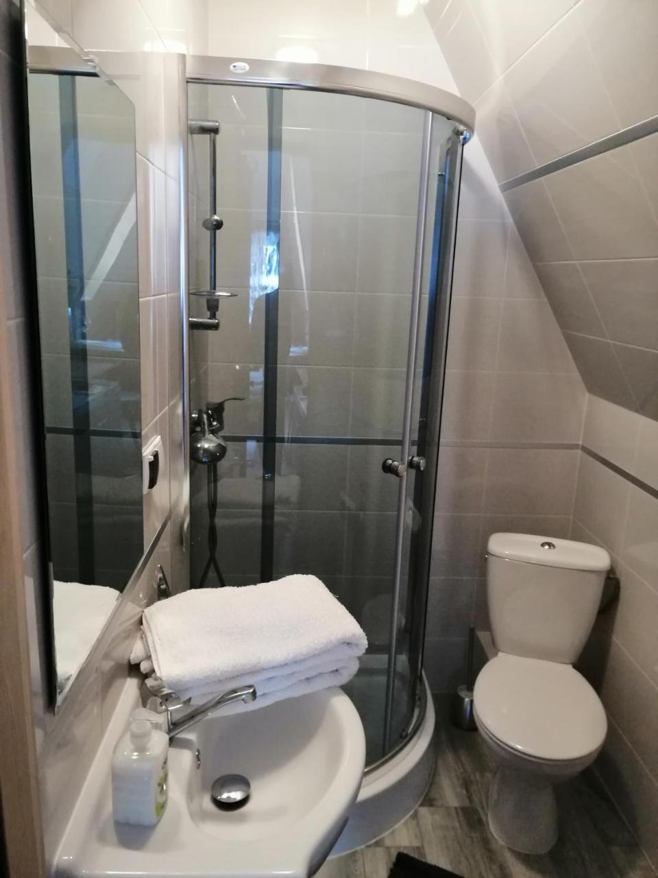 זקופאנה Apartament Stary Mlyn מראה חיצוני תמונה